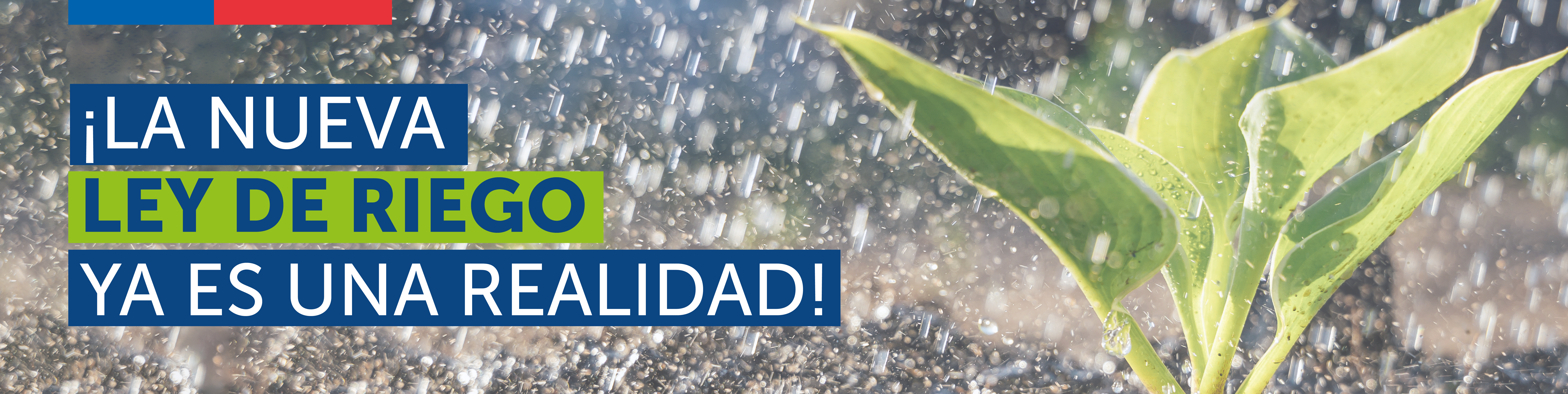 Banner principal del sitio