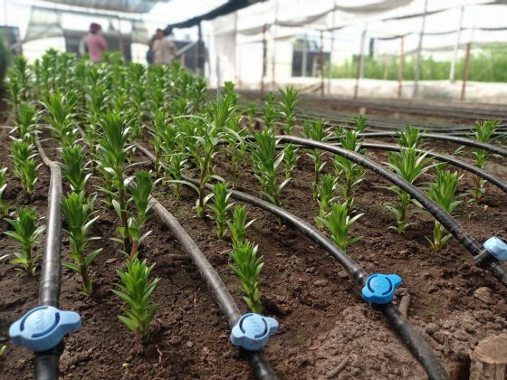 CNR fortalecerá a la Pequeña Agricultura de la provincia del Itata con más de medio centenar de proyectos de riego