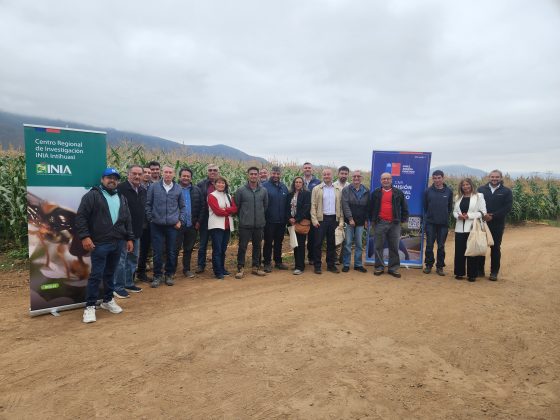 CNR e INIA capacitan a consultores en riego subterráneo y uso de energías renovables