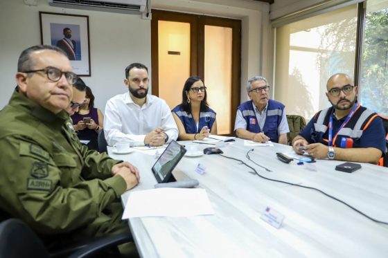 Ministra de Agricultura hace llamado a la responsabilidad en medio de incendios forestales que afectan a la Región de Ñuble