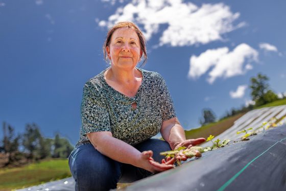 CNR convoca a mujeres agricultoras de La Araucanía a postular a concurso nacional de riego por $2.600 millones
