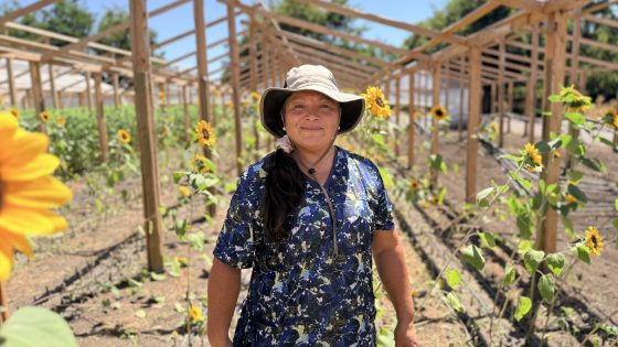 Comisión Nacional de Riego abrió postulaciones para nuevo curso gratuito de riego fotovoltaico destinado a mujeres agricultoras