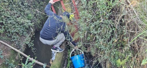 Ñuble da un paso clave en calidad de aguas de riego: monitoreo en Canal Cato y Ñuble supera el 40% de avance