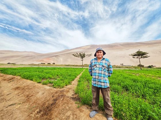 CNR realiza despliegue en valles de Arica y Parinacota para identificar necesidades hídricas y fomentar la inversión en riego