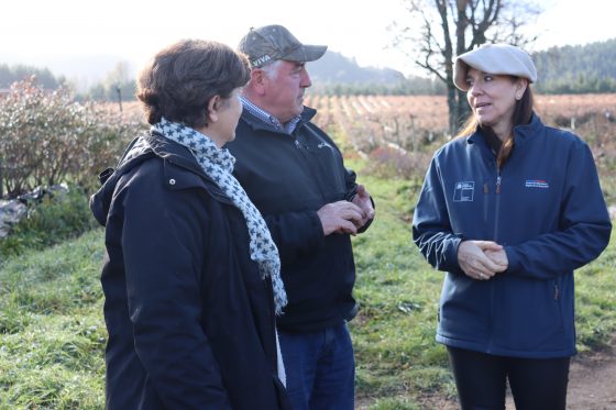 Ministerio de Agricultura destacó el resguardo del patrimonio agroalimentario y las semillas tradicionales en La Araucanía