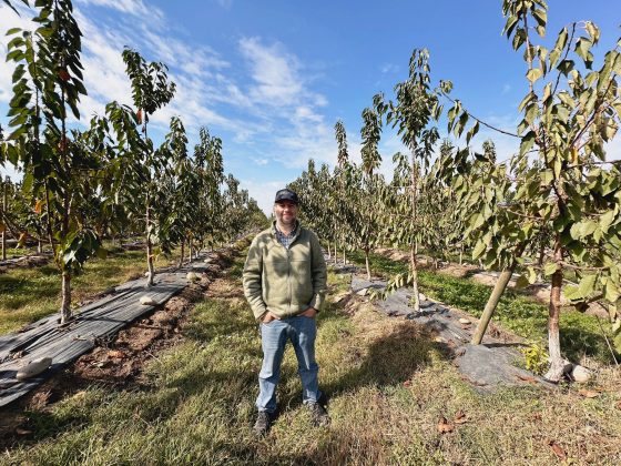 Más eficiencia y competitividad: CNR fortalece la mediana agricultura del Maule con riego tecnificado