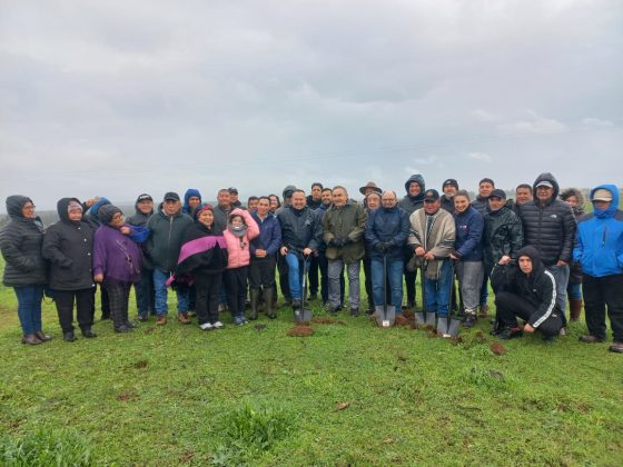 Histórica inversión pública inicia obras de infraestructura hídrica para la Comunidad Indígena Manuel Quilapi en Los Sauces