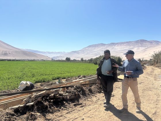 Nuevo Coordinador Zonal de la CNR supervisa obras de riego en los valles de Lluta y Azapa
