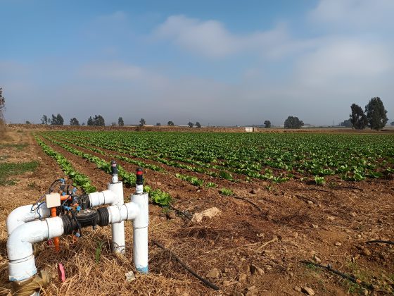 CNR abre concurso por $200 millones para mejorar la calidad de las aguas de riego en Atacama y Coquimbo