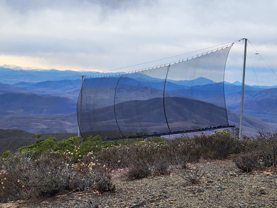 Tarapacá: Comisión Nacional de Riego abre concurso para promover soluciones basadas en la naturaleza y fortalecer la seguridad hídrica