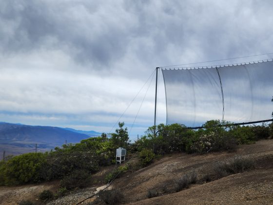 CNR invita a agricultores y organizaciones de Atacama y Coquimbo a postular proyectos basados en la naturaleza
