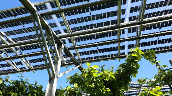 Comisión Nacional de Riego y Ministerio de Energía inician ciclo de charlas “Mes del Nexo 2026”